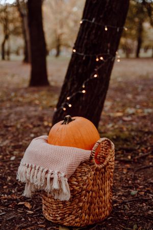 Halloween-i fotózás