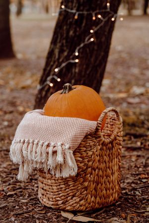 boho stílusú fotózás