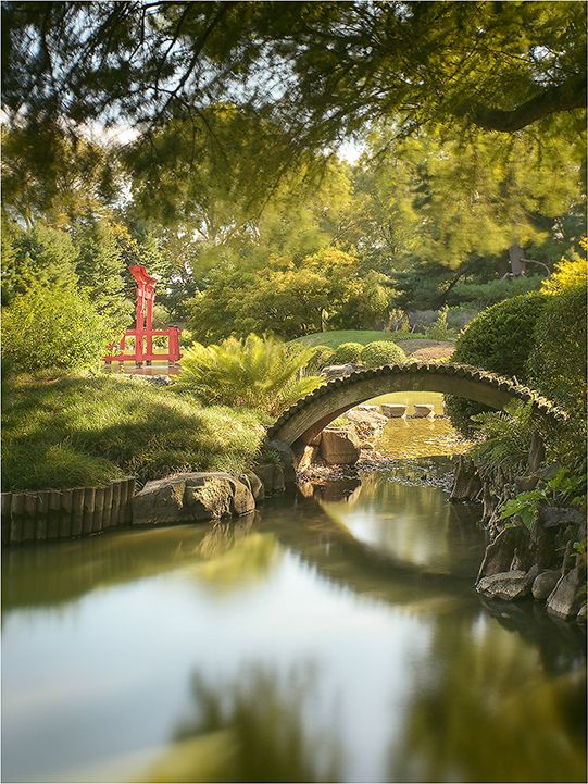 Tranquil garden scene with stone bridge and red pagoda reflecting in calm pond waters.