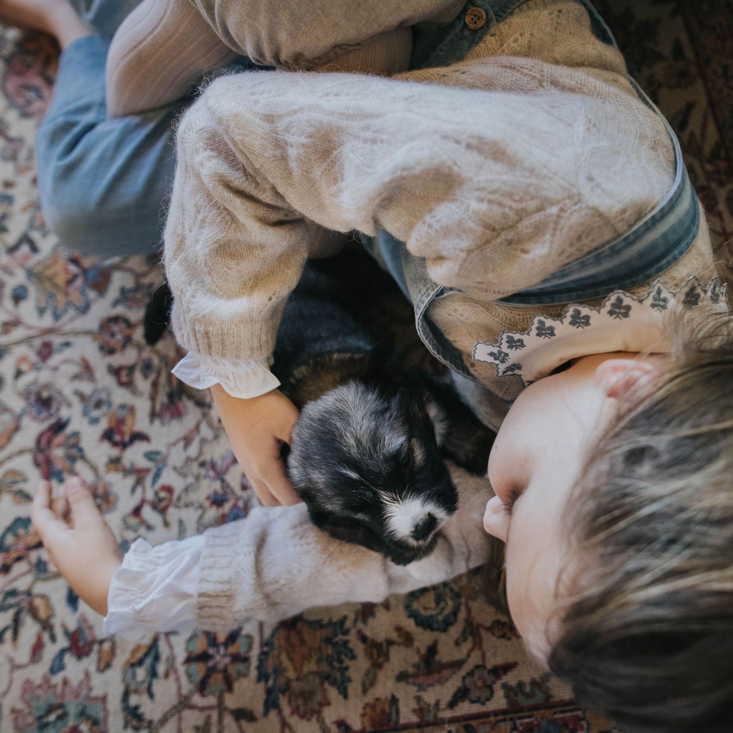 sesion de fotos con perros, best friend y mascotas