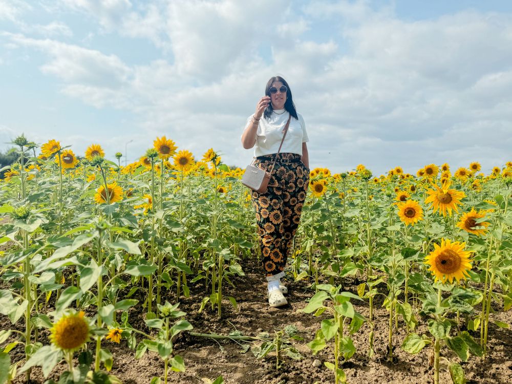 A person walks through a vibrant field of blooming yellow sunflowers under a cloudy summer sky. Photographer. Hull. East Yorkshire.
