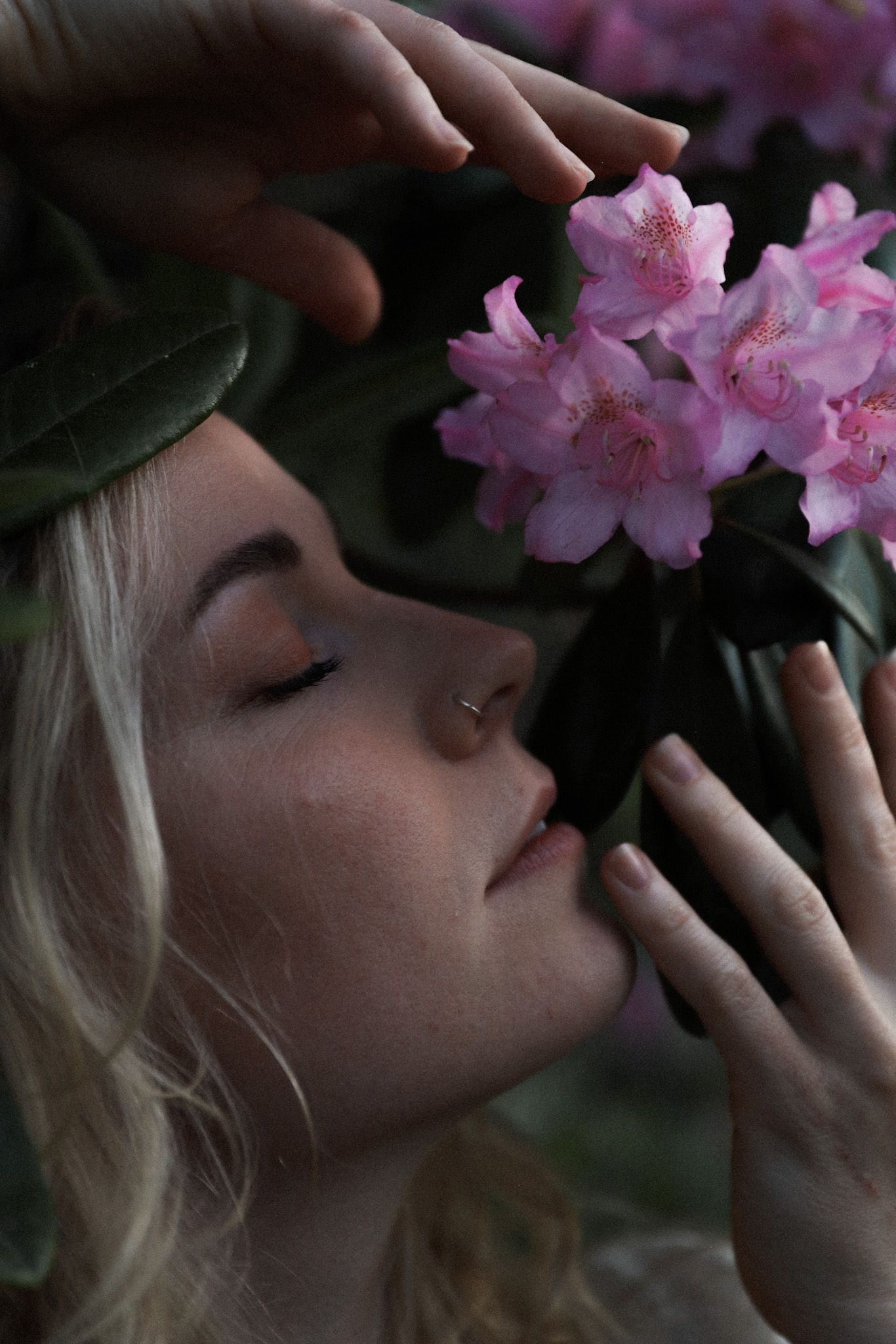 A dreamy portrait with pink rhododendron blooms being gently held near closed eyes.