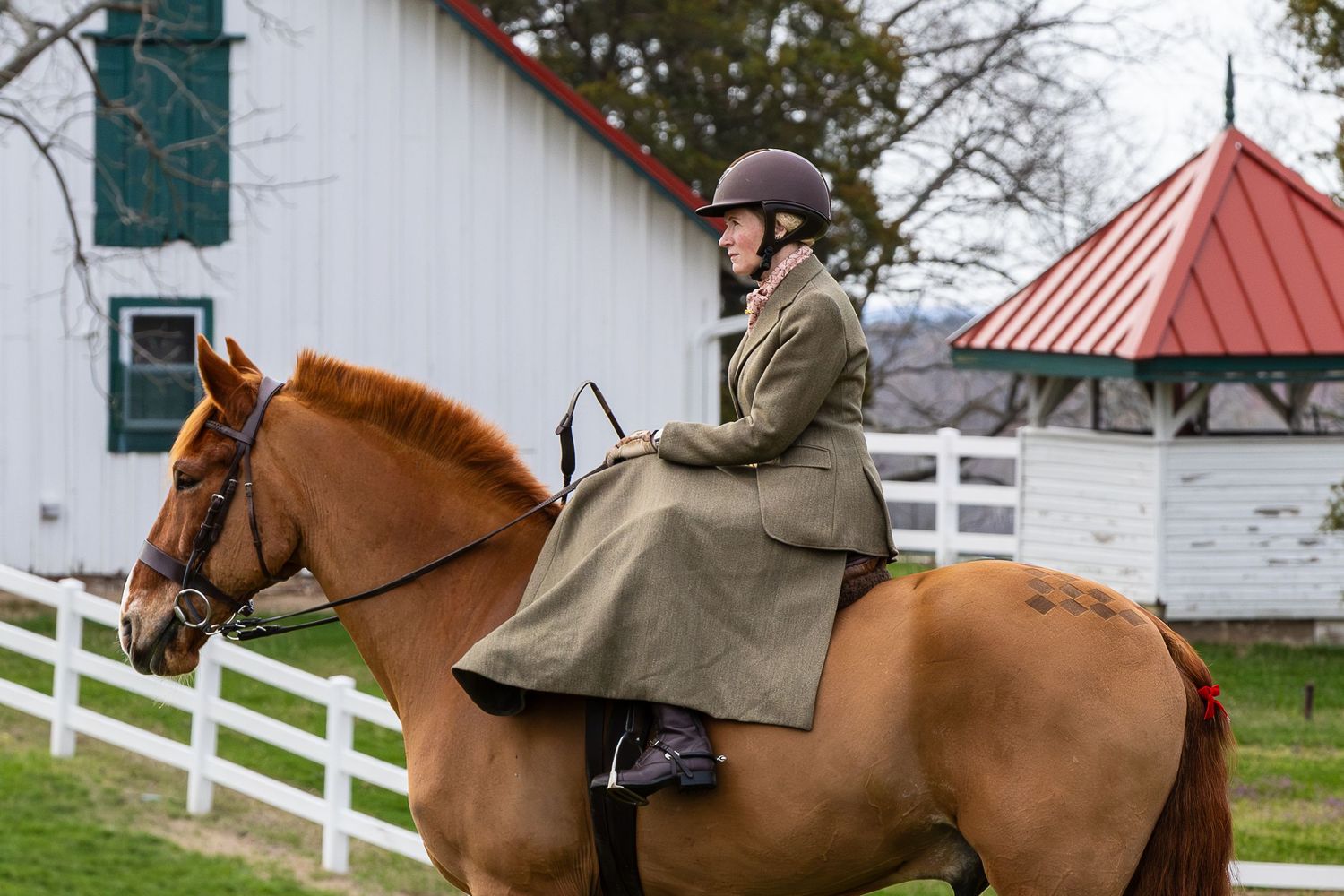 equestrian side saddle rider posing game action photo coverage maryland dmv suzi gibson photography