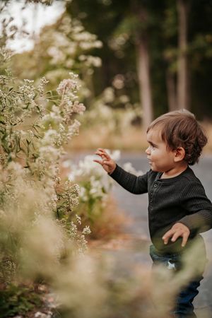 A young child in a dark sweater explores flowering plants in a garden setting during autumn.
