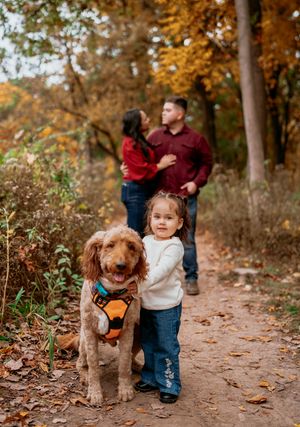 A brown goldendoodle dog wearing a bandana walks with a small child on an autumn trail covered in fallen leaves.