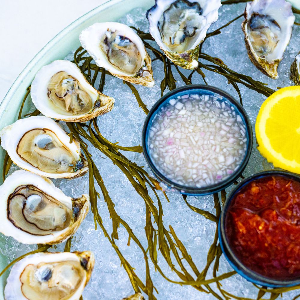 Oysters