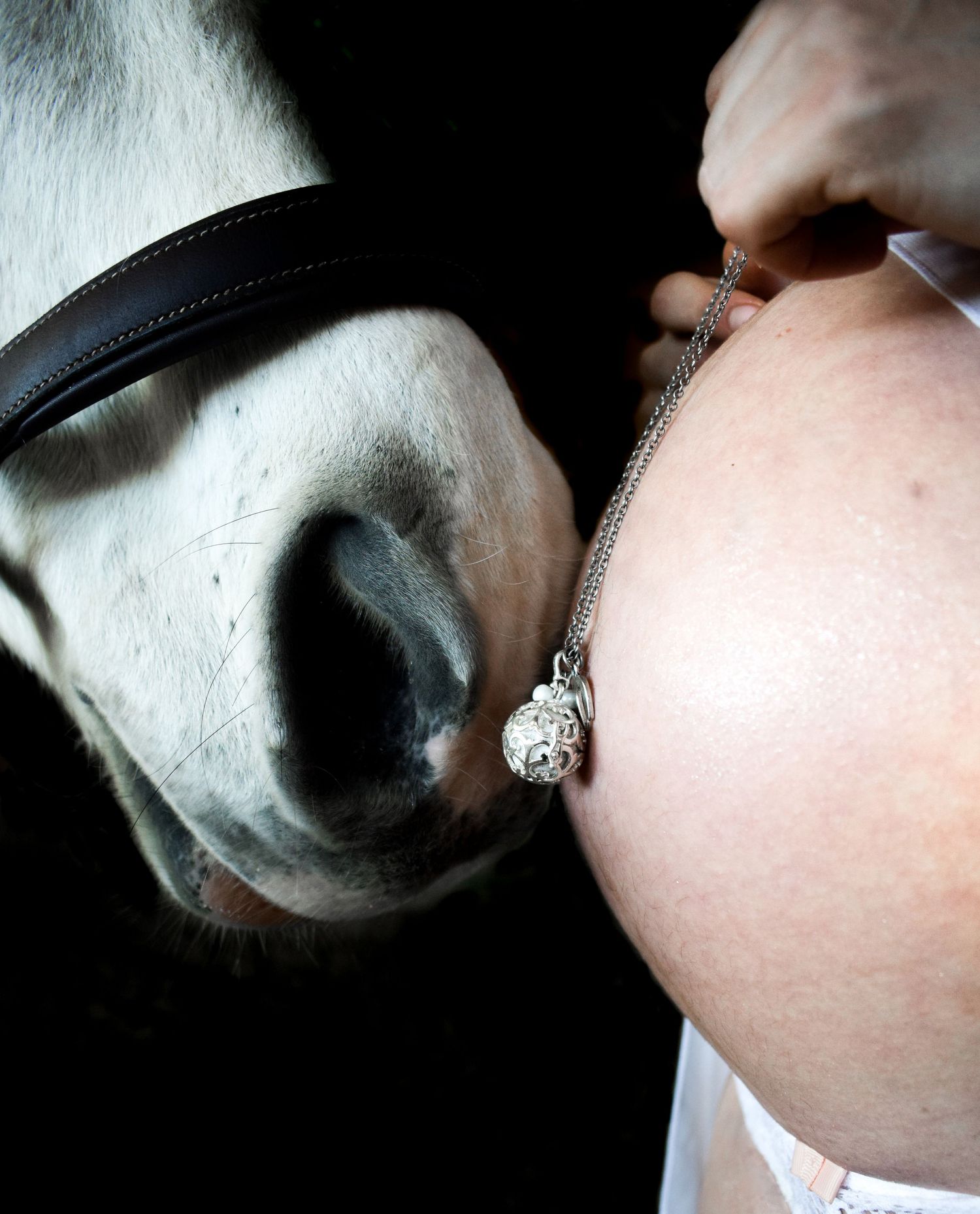 Photographie de grossesse on y voit le nez d'un cheval et le vendre d'une femme enceinte
