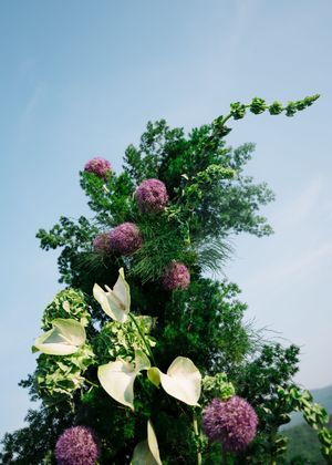 A series of white lilies and purple allium flowers arranged against a bright blue sky with green trees in the background.