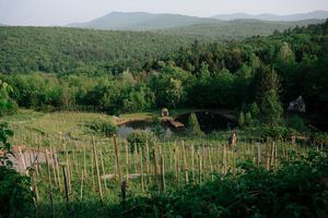 Panoramic view of rolling hills and mountains with vineyard stakes stretching across the landscape.