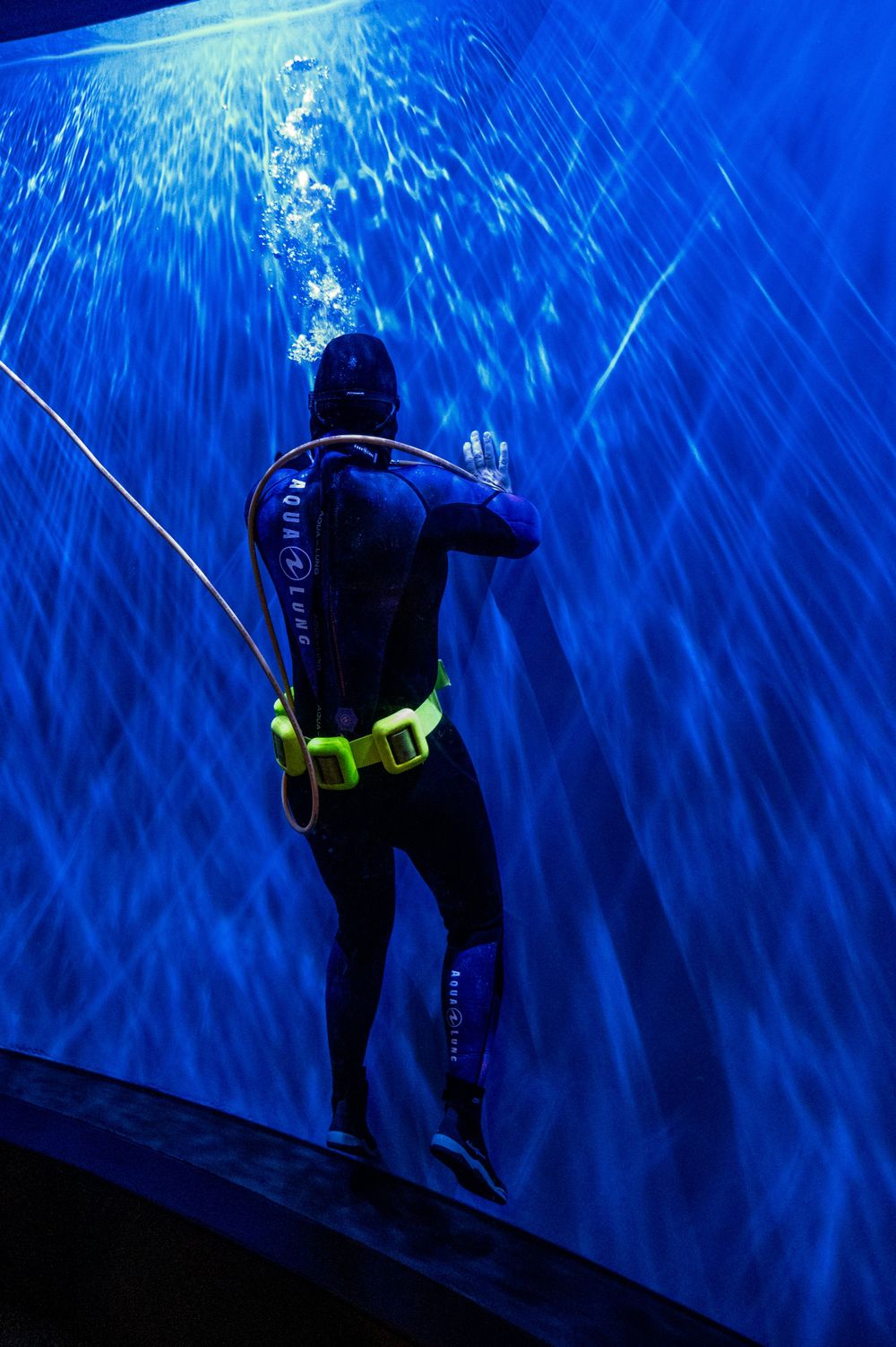 Scuba diver silhouetted against streaming blue light rays underwater.
