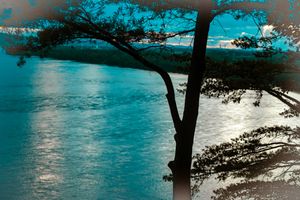 Dramatic sunset over a coastal bay with silhouetted trees and moody turquoise waters.
