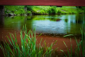 Sunset view of covered bridge with cattails and water reflections in foreground.
