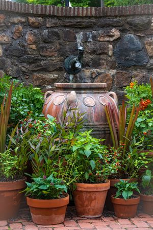 A row of terracotta pots with green plants and flowers line up against a rustic stone wall in a garden setting.