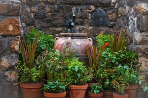 Garden pots with green plants arranged against a rustic stone wall with a small decorative fountain in the background.