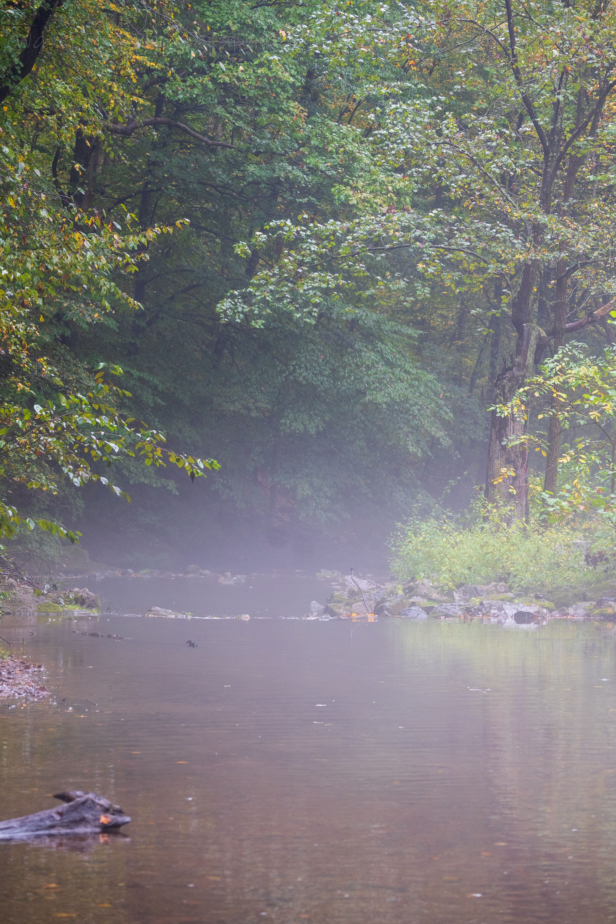 Misty morning scene on a tranquil river with sunlight filtering through trees and fog hovering over calm waters.