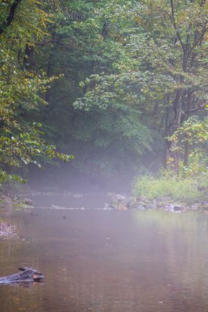 Misty morning scene on a tranquil river with sunlight filtering through trees and fog hovering over calm waters.