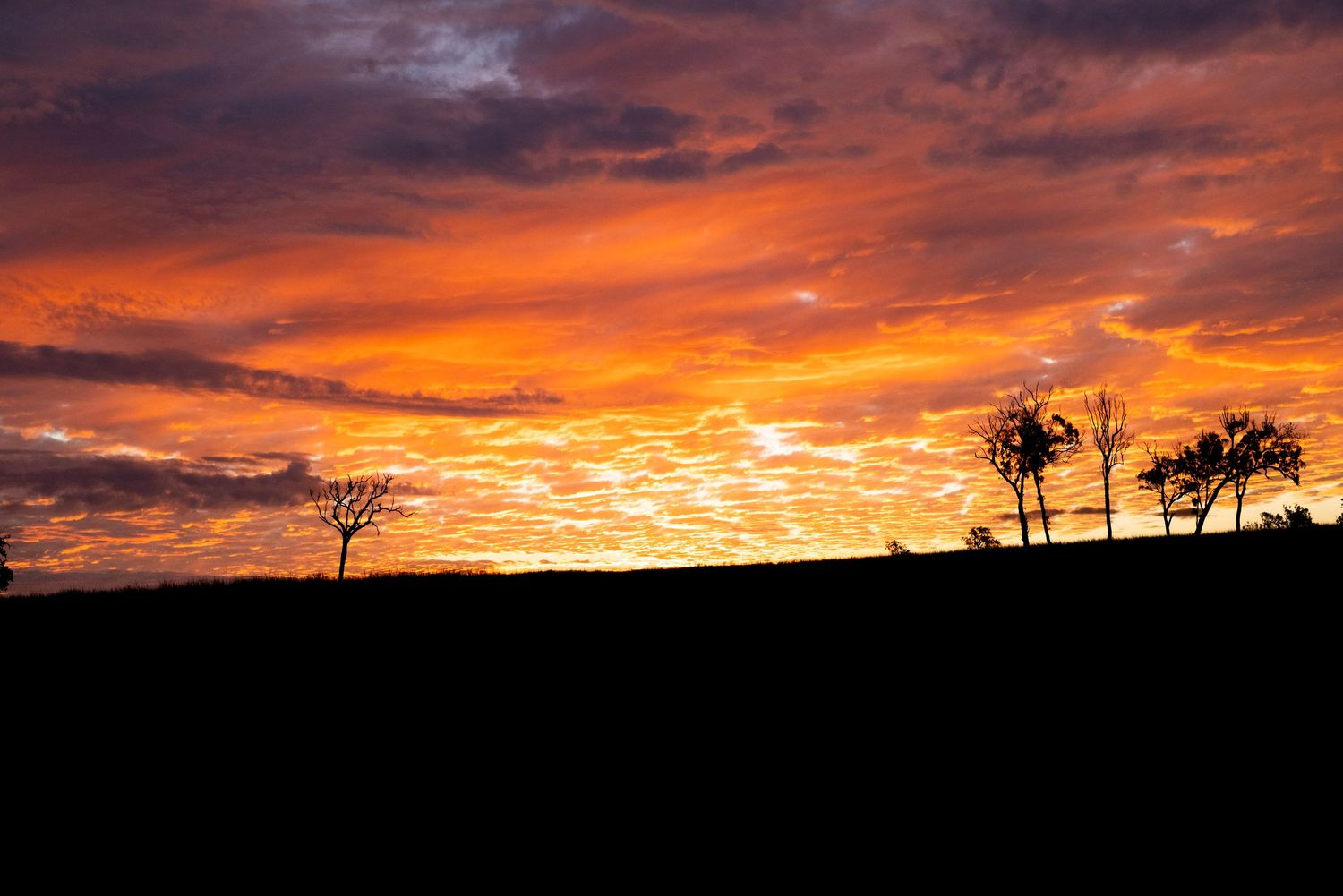 Dramatic orange sunset sky silhouettes trees on rural horizon.