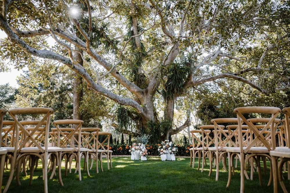 Rustic outdoor wedding ceremony setup with wooden chairs under a majestic tree.