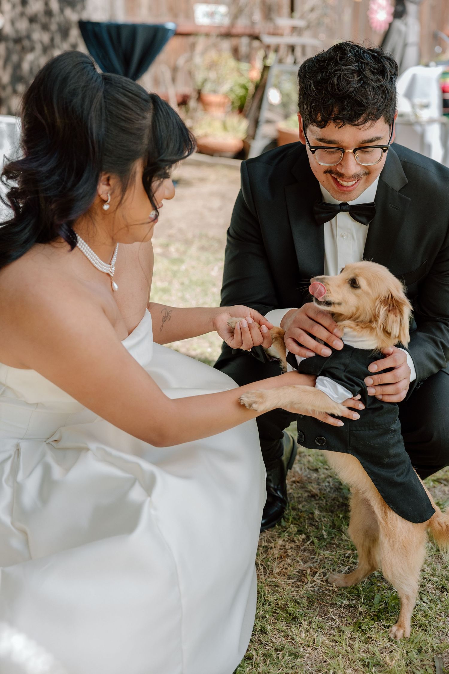 A small dog interacts playfully with a couple in formal wedding attire during an outdoor photoshoot.