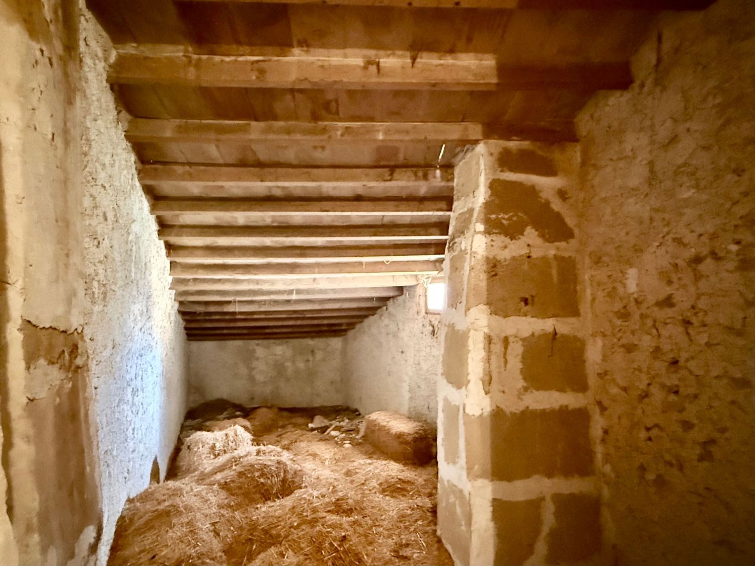 Historic stone cellar interior with wooden beam ceiling and straw-covered floor, showcasing rustic medieval architecture.