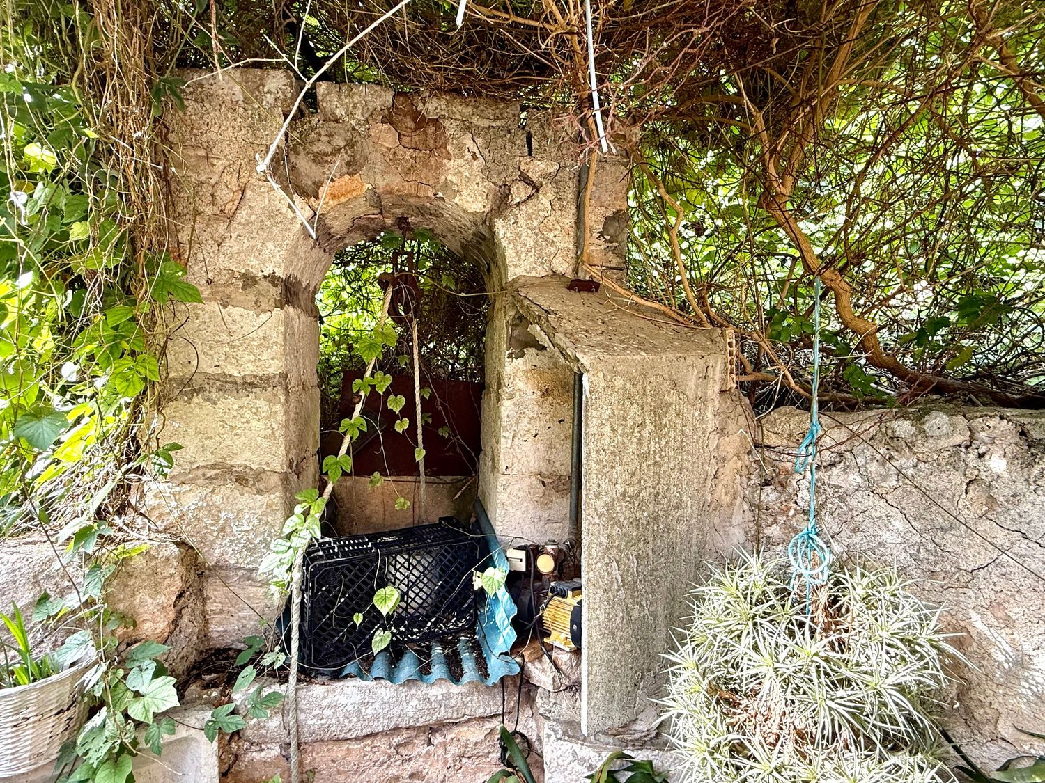 Ancient stone archway covered in lush green vines and foliage, surrounded by rustic garden walls.