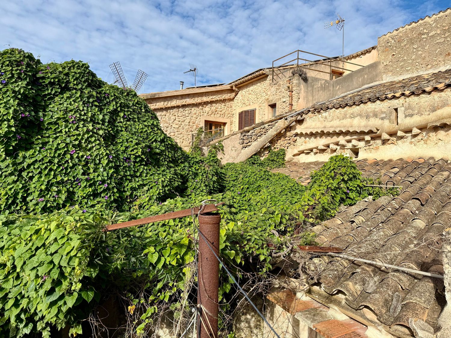 Stone village building with ivy-covered walls, terracotta roof tiles, and rustic staircase under blue sky.