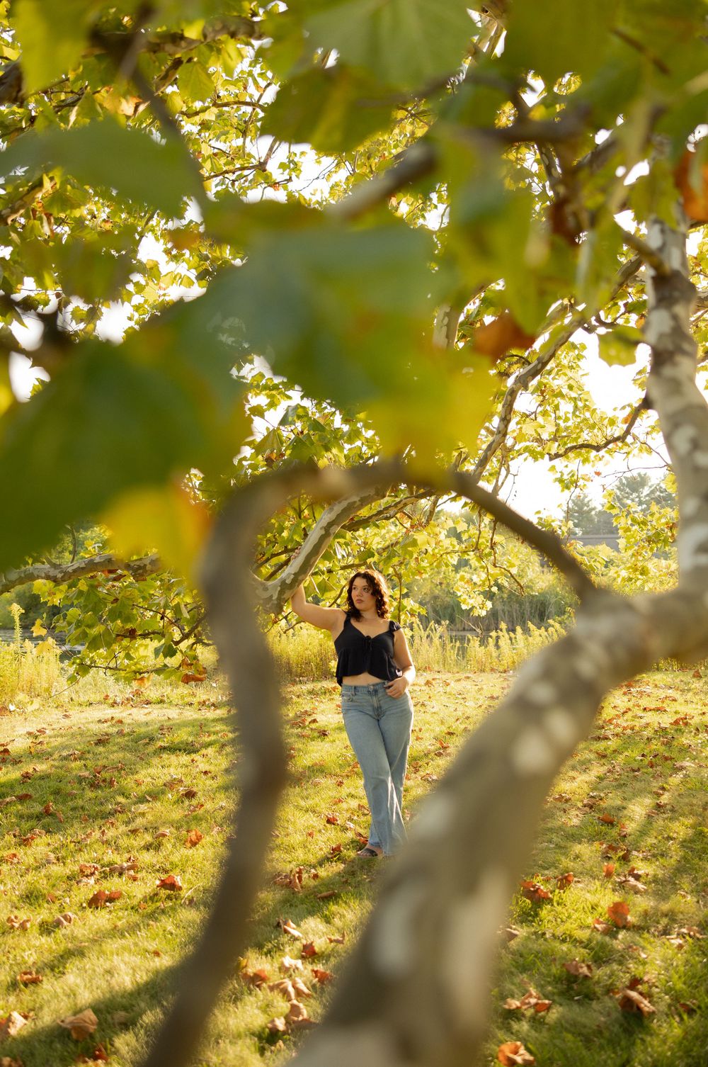 A figure in black stands in a peaceful autumn scene beneath golden sunlit leaves and tree branches.