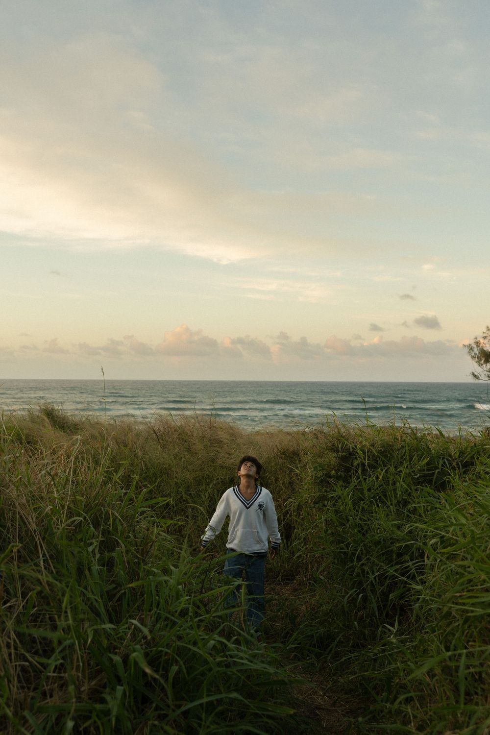 A coastal path through tall grass leads to the ocean at sunset with soft clouds in the pastel sky.