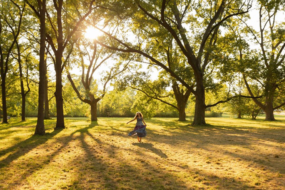 Golden sunlight streams through tall trees in a park as a figure twirls in a flowing dress on an autumn afternoon.