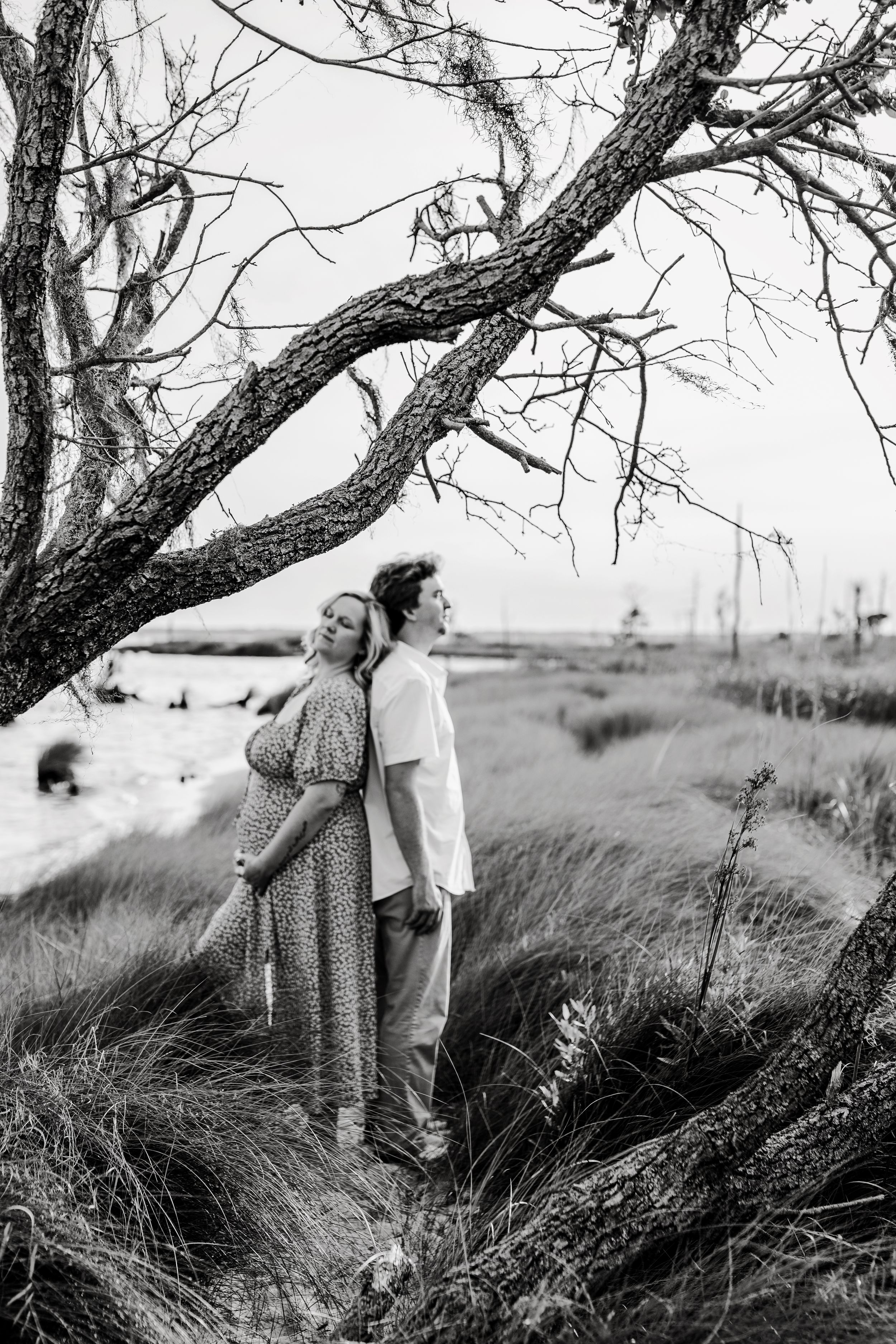 Black and white maternity photos under dramatic tree branches.