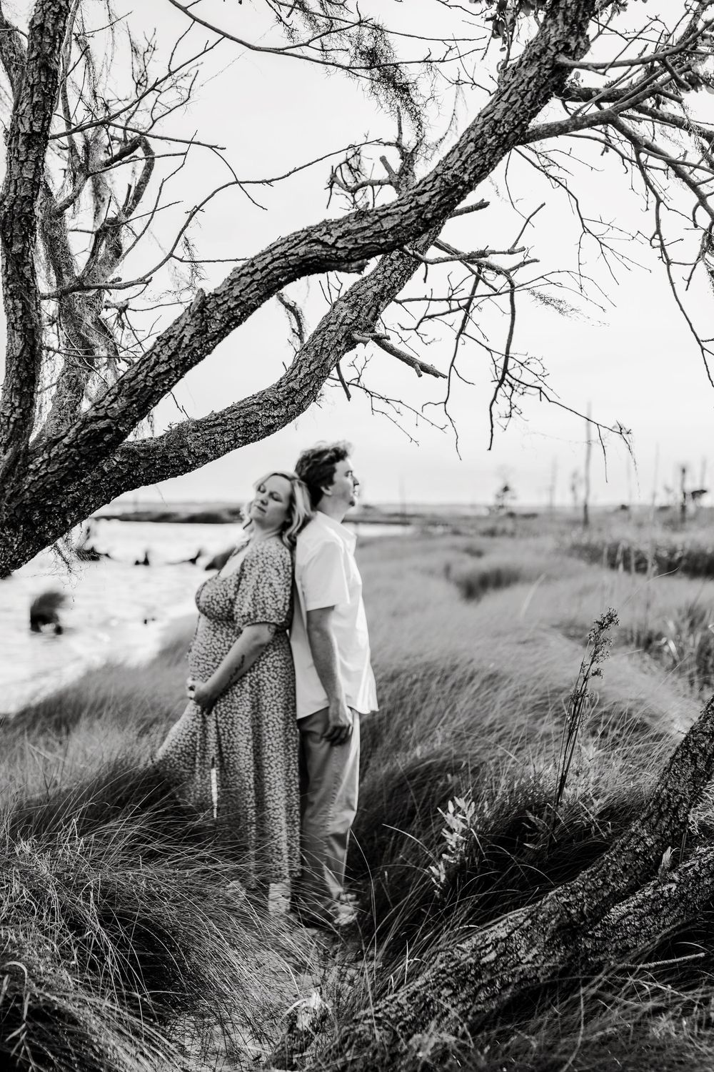 Black and white maternity photos under dramatic tree branches.