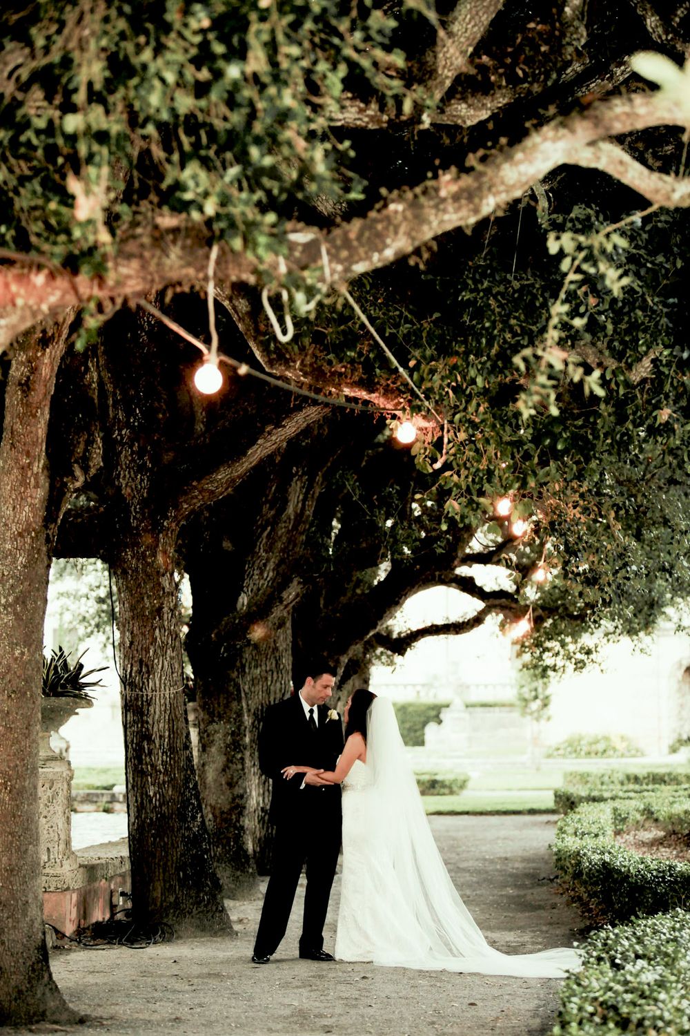 A romantic wedding couple stands beneath illuminated oak trees on a garden path at twilight.