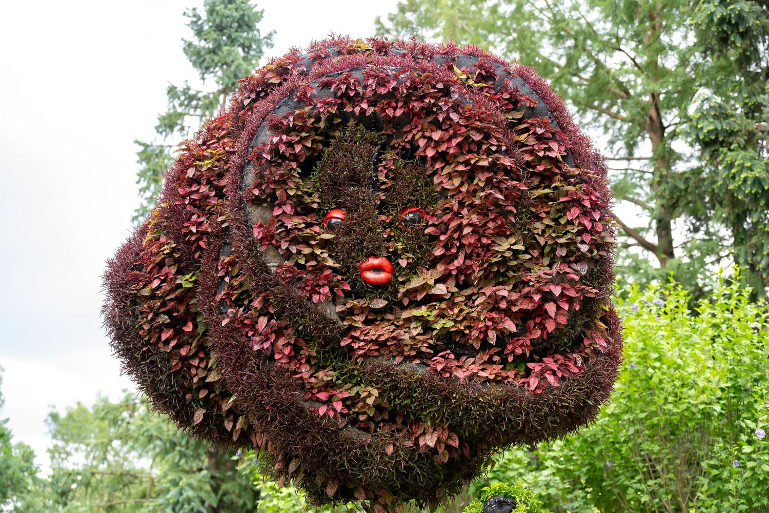 Giant dark red flower-shaped topiary with green stem and base in formal garden display.