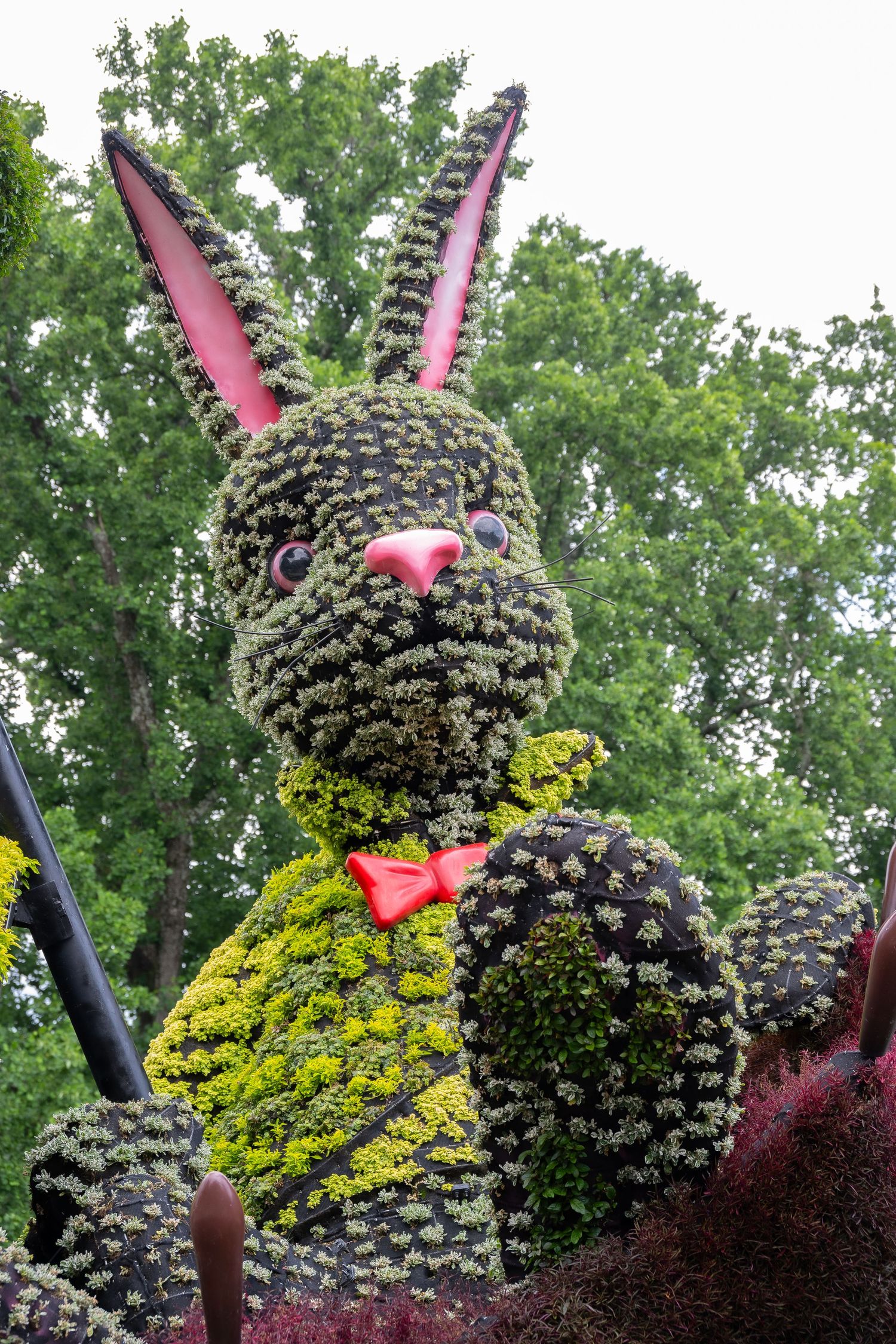 Large topiary bunny sculpture with pink ears and yellow bowtie displayed in a garden setting.