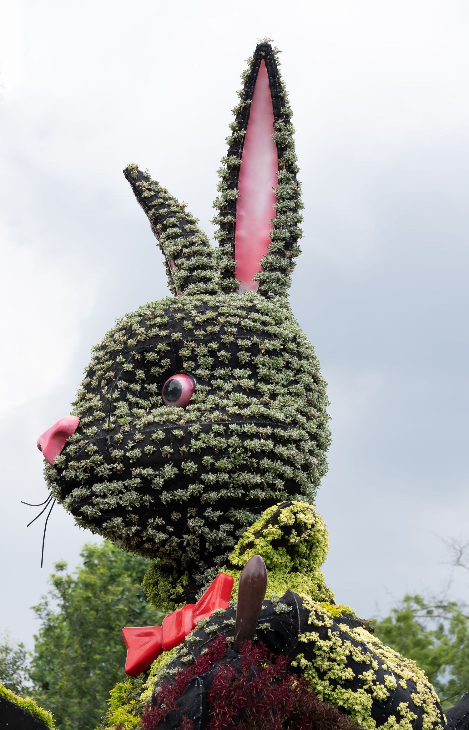 Close-up of a topiary rabbit head with pink ears and nose made from carefully shaped plants.