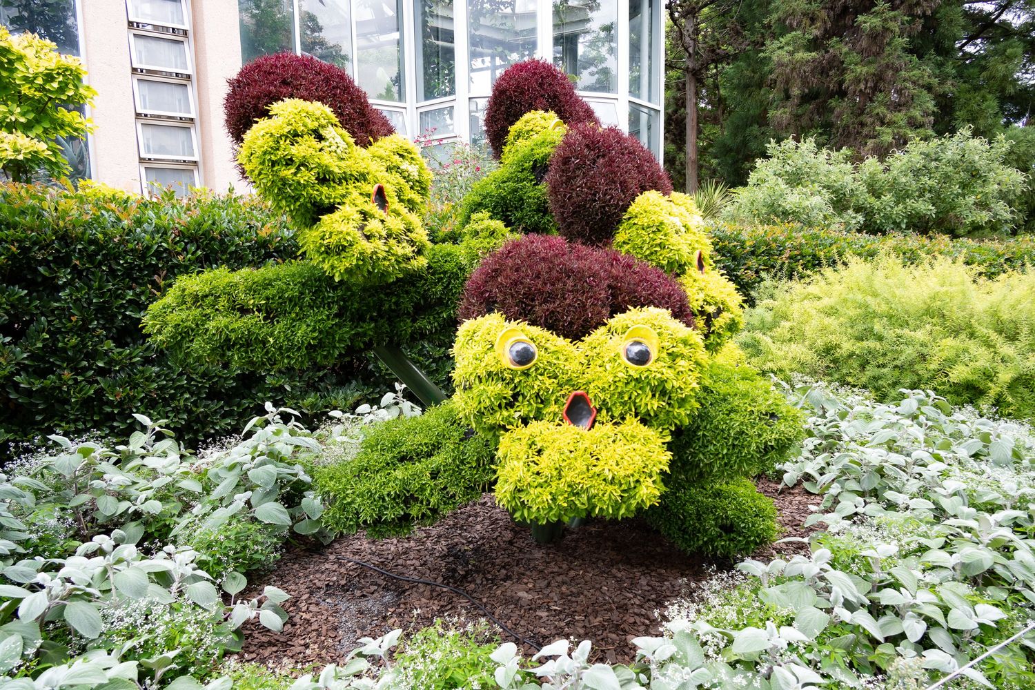 Whimsical garden topiary featuring yellow and burgundy shrubs arranged in a decorative pattern.