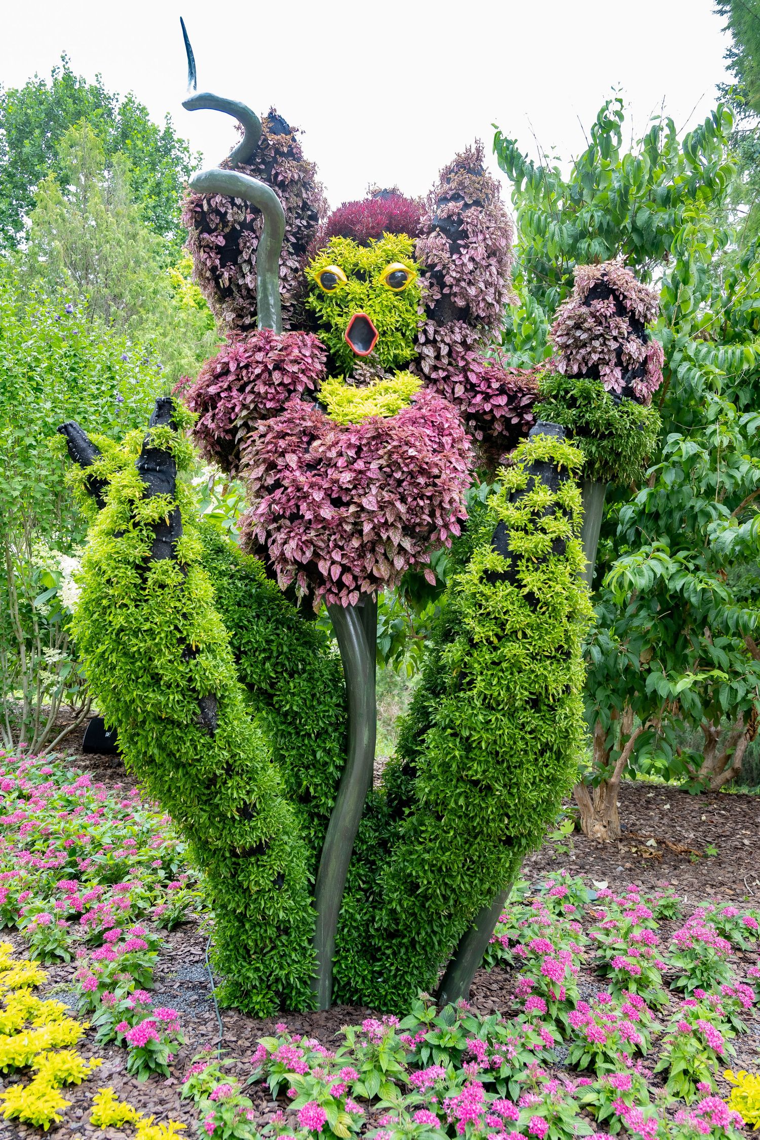 Artistic topiary sculpture featuring purple and green shrubs arranged in a flower-like pattern.