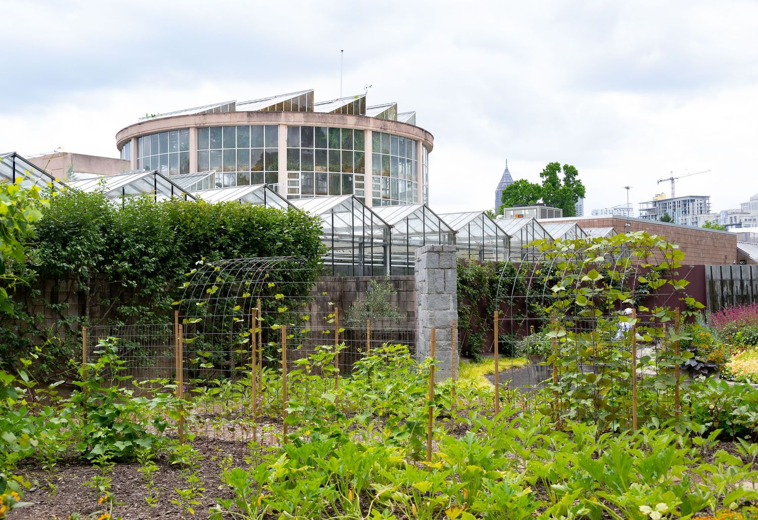 Modern glass building with curved architecture visible behind a lush garden area.