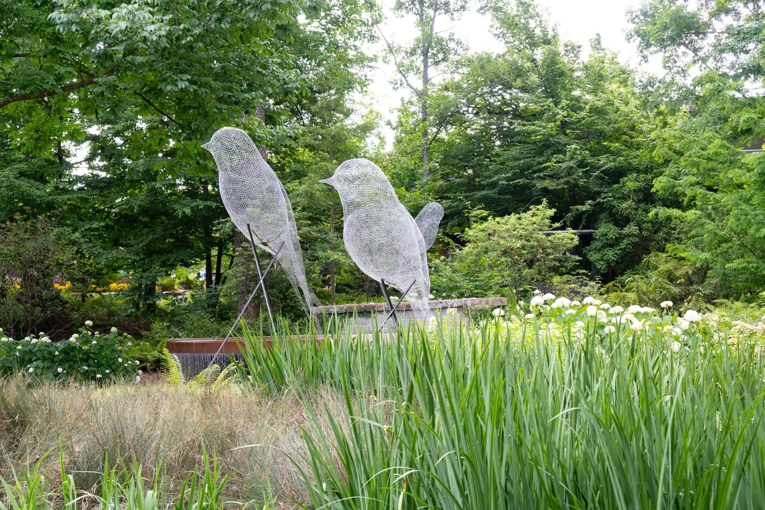 Whimsical wire mesh butterfly sculptures rising above tall ornamental grasses in a garden setting.