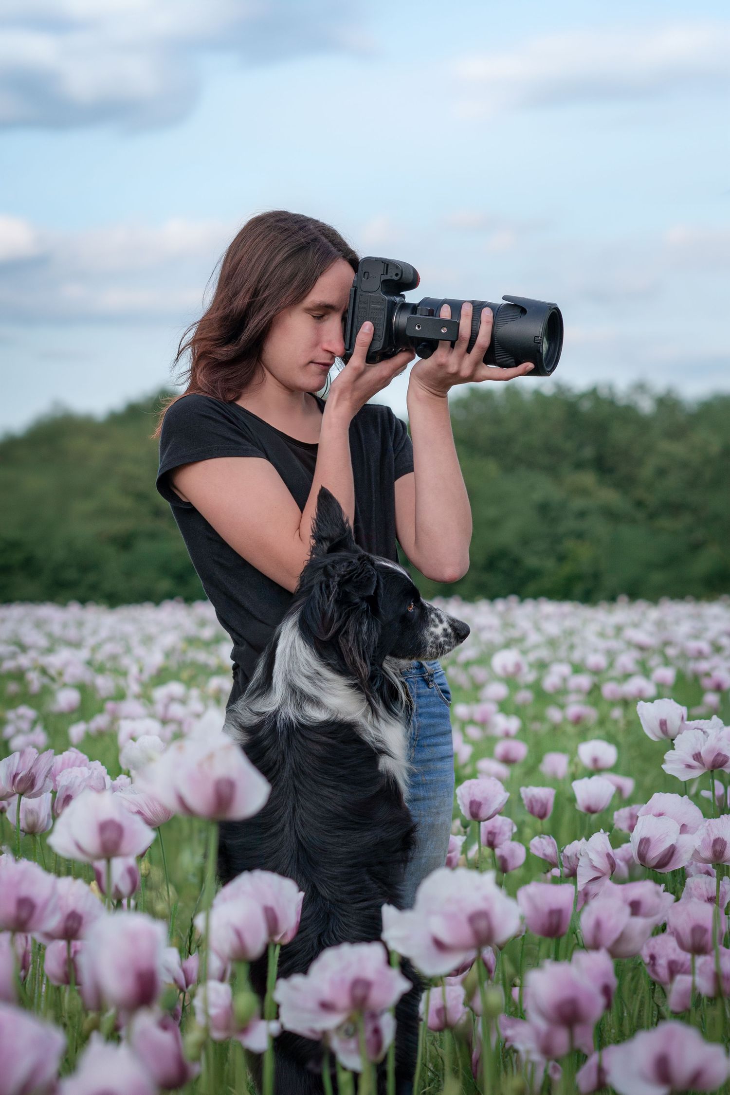 Femme photographe et chien border collie noir et blanc prenant des photos dans un champs de pavots