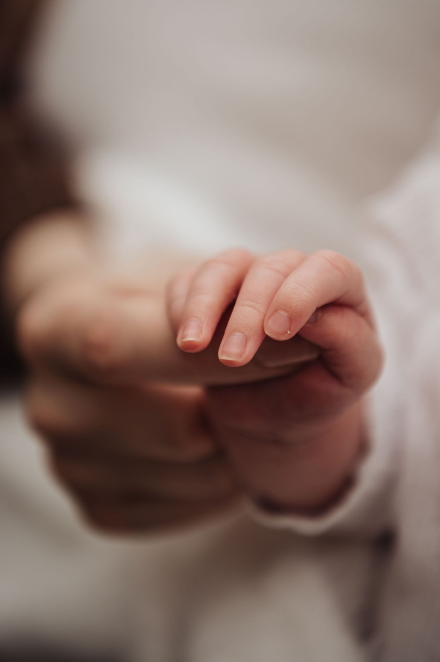 Close-up macro shot of a baby's tiny hand with soft focus and gentle lighting creating a tender moment.