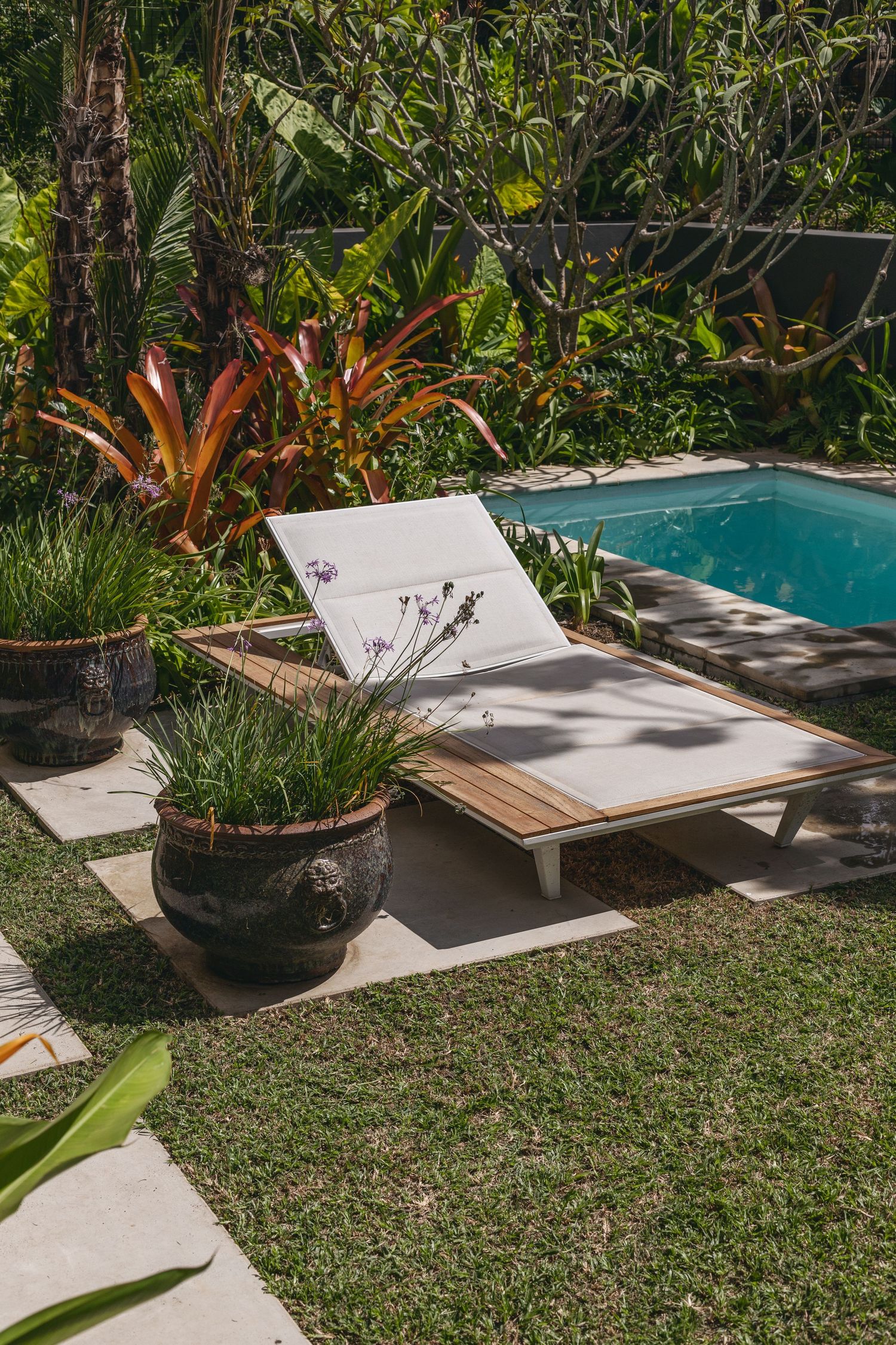 Poolside lounge chair with tropical plants and landscaping in backyard setting.