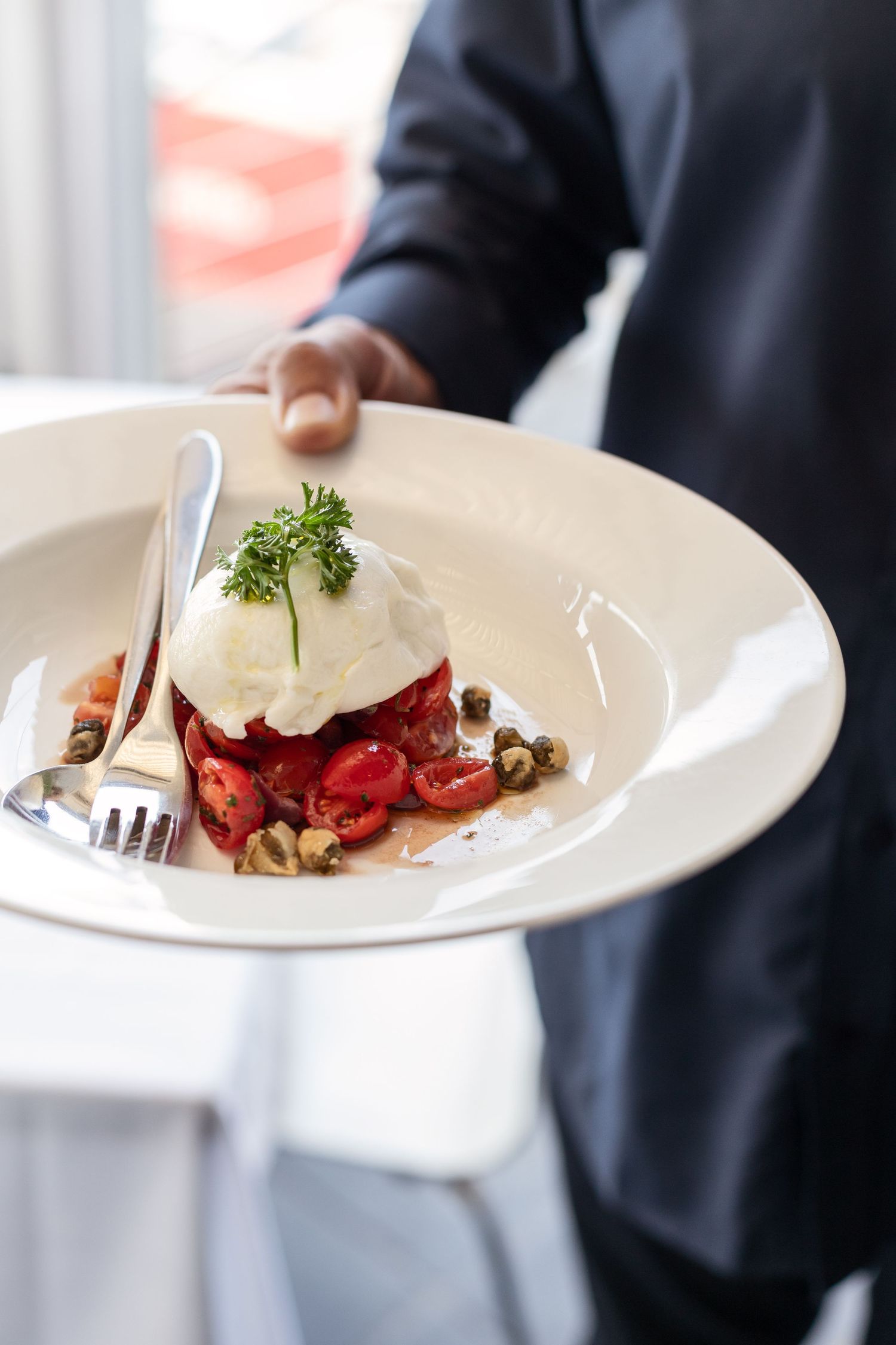 A white plate holds burrata cheese topped with roasted tomatoes and fresh herbs, served at an elegant restaurant setting.