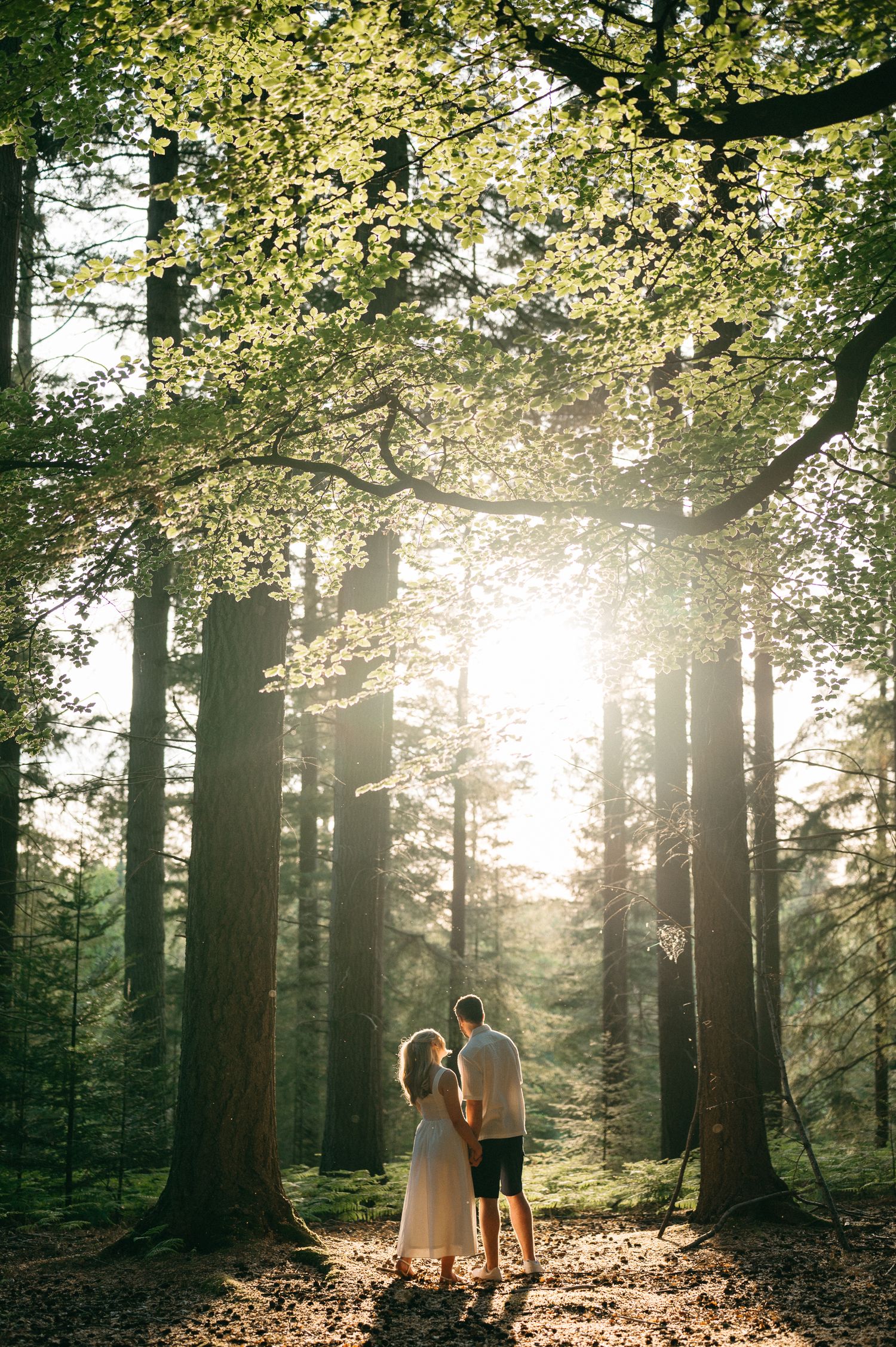 Couple holding hands in a sunlit forest with tall trees and golden light streaming through the canopy.