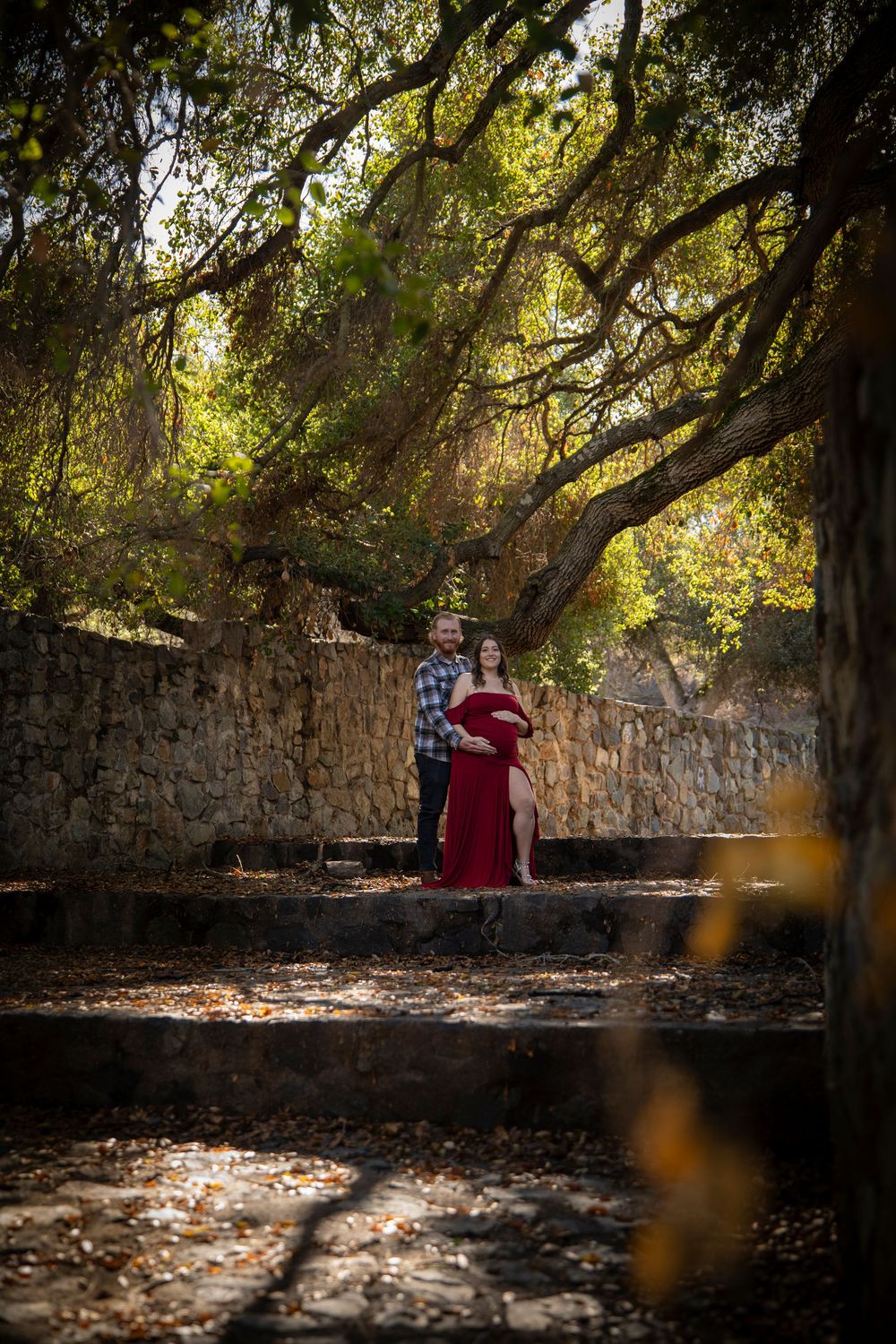 A couple in maternity photos pose under a large oak tree with stone walls in a forest setting.
