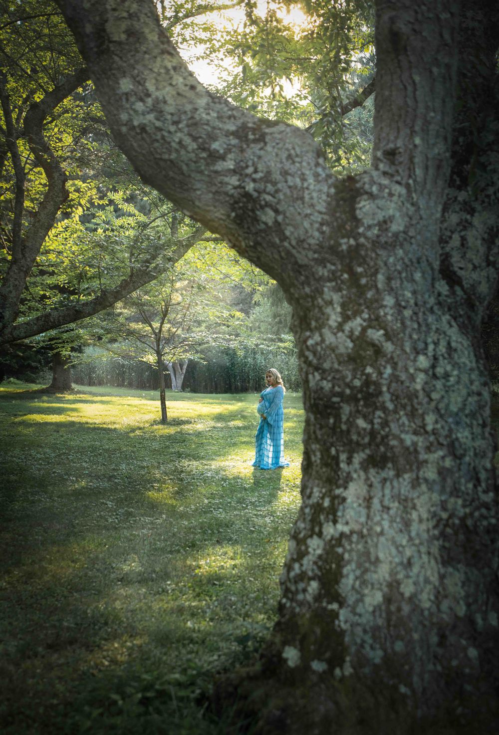 Woman in blue dress standing beside a large mossy tree trunk in a serene green woodland setting.