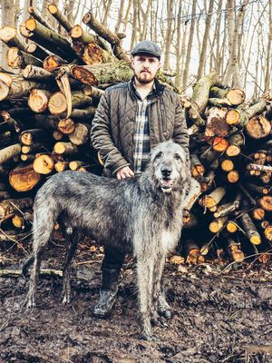 Dog-Photography-Essex-Claire-Lumley-Photographer-Allsceneimagesphotography-Canine-Photography-Irishwolfhound