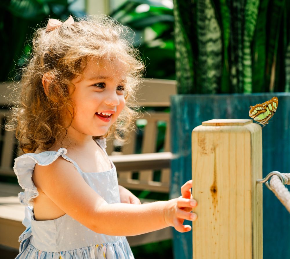 A young child in a light dress smiles with joy while looking at a butterfly in a sunny garden setting.