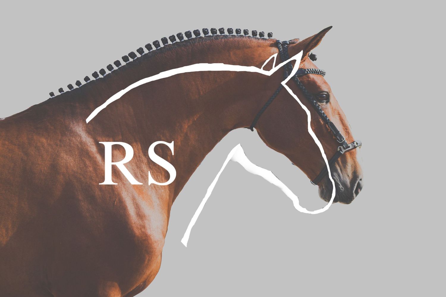 My logo