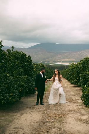lemon trees citrusdal western cape outdoor wedding